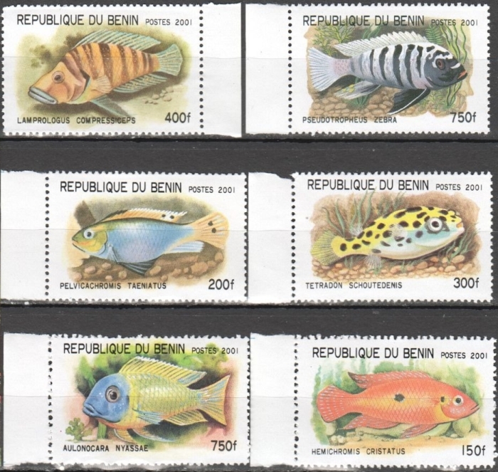 Benin 2001 Fish Stamp Set