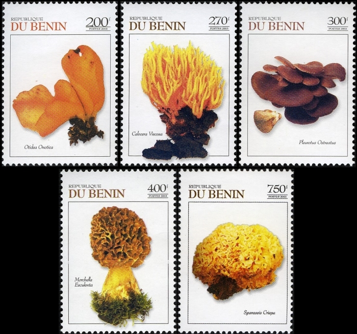 Benin 2003 Mushrooms of the World Stamp Set