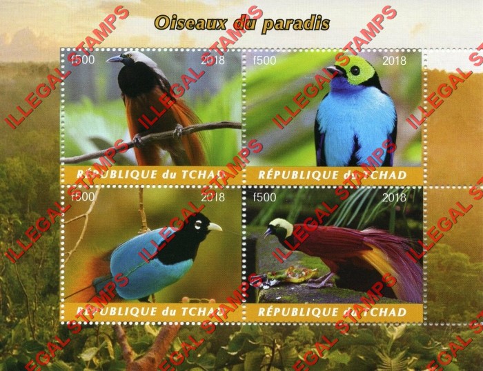 Chad 2018 Birds of Paradise Illegal Stamps in Souvenir Sheet of 1