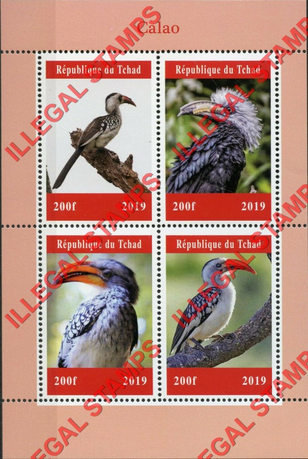Chad 2019 Birds Hornbills Illegal Stamps in Souvenir Sheet of 4