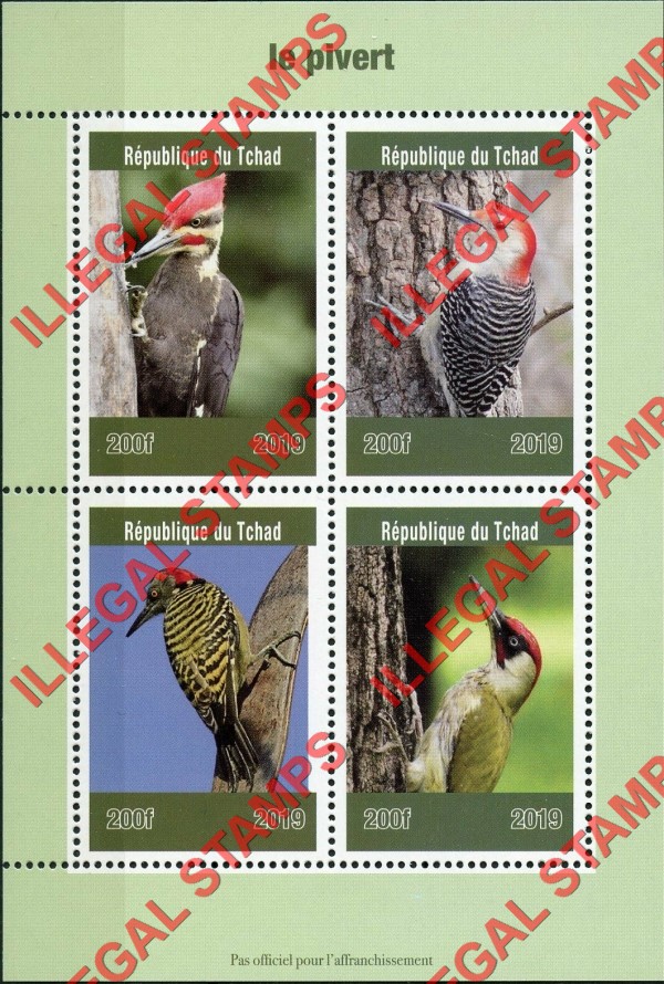 Chad 2019 Birds Woodpeckers Illegal Stamps in Souvenir Sheet of 4