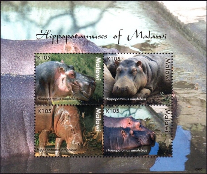 Malawi 2009 Hippopotamuses Scott 747