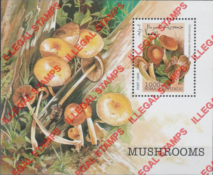 Somalia 1998 Mushrooms Illegal Stamp Souvenir Sheet of 1