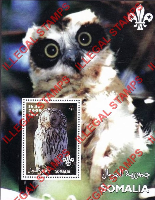Somalia 2002 Owls Illegal Stamp Souvenir Sheet of 1 (Sheet 3)