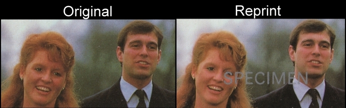 Bequia 1986 Royal Wedding Scott 235 Reprint Comparison