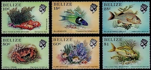 1984 Marine Life From the Belize Coral Reef Perf 13.5 Stamps