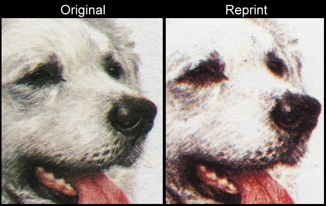 The Forged Unauthorized Reprint Dogs Scott 178 Printing Comparison