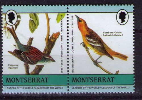 The Forged Unauthorized Reprint Birds Scott 582 Pair with Missing Value Error