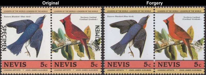 Nevis 1985 Audubon Birds Forgeries with Original 5c Stamp Comparison