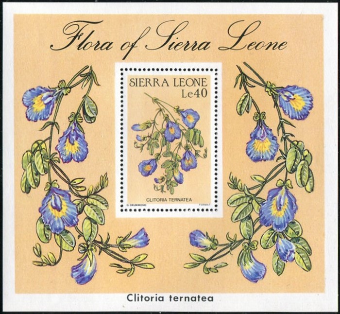 1986 Flowers of Sierra Leone (Clitoria Ternatea) Souvenir Sheet