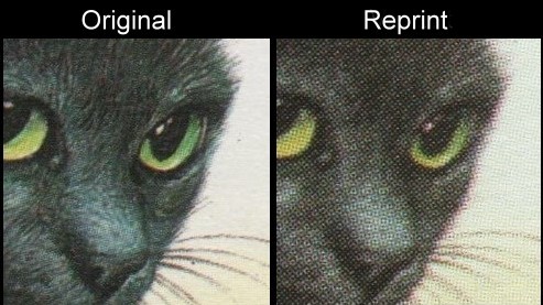 The Forged Unauthorized Reprint Tuvalu Nanumea 1985 Cats Scott 30 Printing Comparison