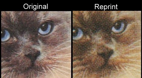 The Forged Unauthorized Reprint Tuvalu Nanumea 1985 Cats Scott 31 Printing Comparison