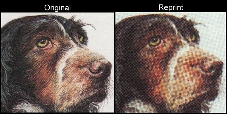 The Forged Unauthorized Reprint Tuvalu Nukulaelae 1985 Dogs Scott 38 Printing Comparison