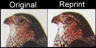 The Forged Unauthorized Reprint Union Island 1985 Audubon Birds Scott 189 Printing Comparison
