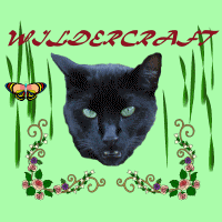 Wildercraft.com