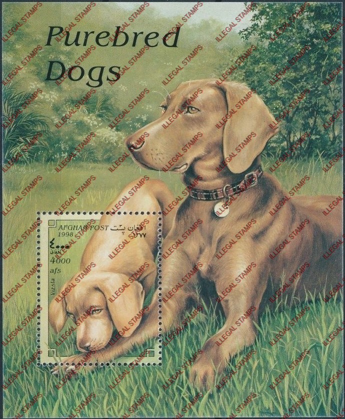 Afghanistan 1998 Dogs Illegal Stamp Souvenir Sheet of One