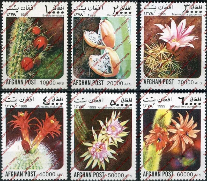 Afghanistan 1999 Cacti Cactus Illegal Stamp Set of Six Afghanistan 1999 Cacti Cactus Illegal Stamp Set of Six