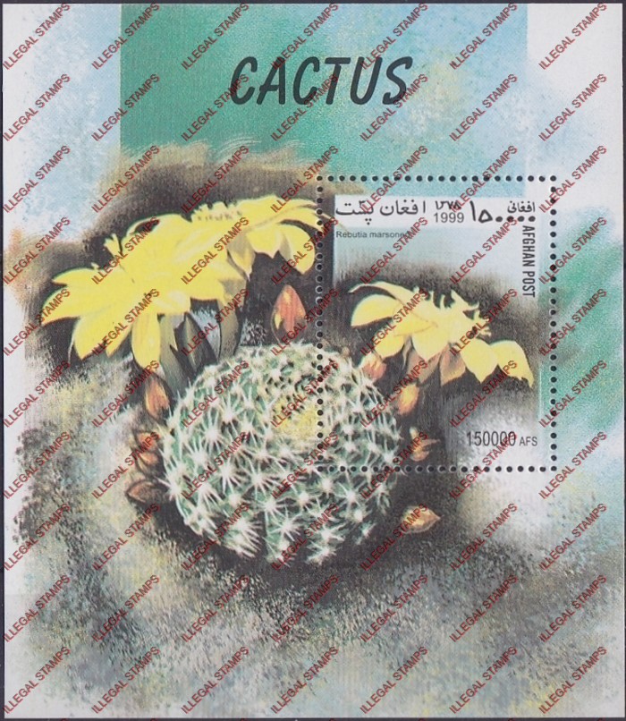 Afghanistan 1999 Cacti Cactus Illegal Stamp Souvenir Sheet of One Afghanistan 1999 Cacti Cactus Illegal Stamp Souvenir Sheet of One