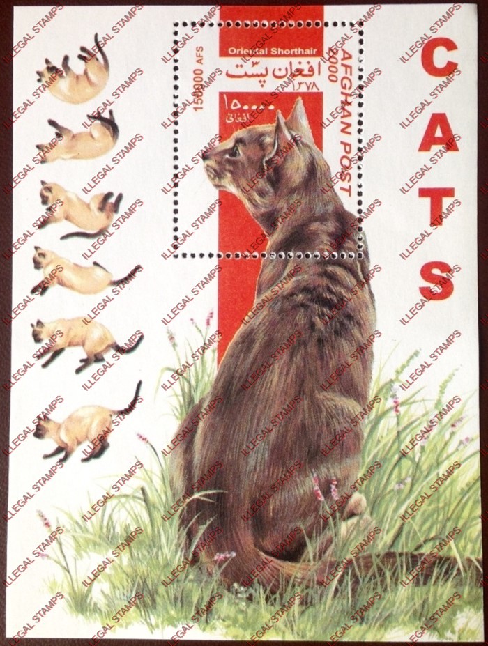 Afghanistan 2000 Cats Illegal Stamp Souvenir Sheet of One Afghanistan 2000 Cats Illegal Stamp Souvenir Sheet of One