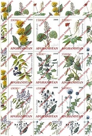 Afghanistan 2000 Flora Illegal Stamp Sheetlet of Nine Afghanistan 2000 Flora Illegal Stamp Sheetlet of Nine