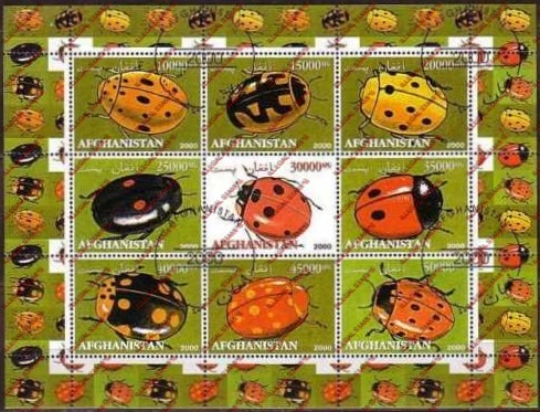 Afghanistan 2000 Insects Beetles Illegal Stamp Sheetlet of Nine Afghanistan 2000 Insects Beetles Illegal Stamp Sheetlet of Nine