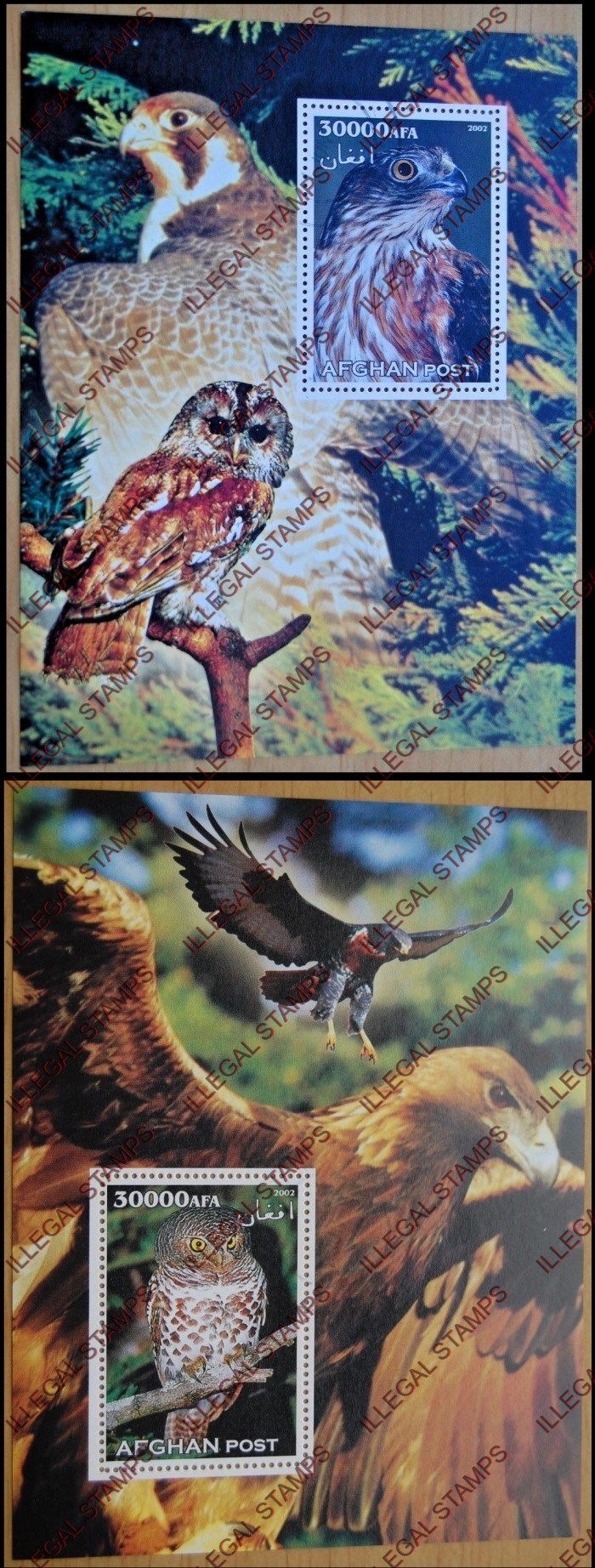 Afghanistan 2002 Eagles and Owls Illegal Stamp Souvenir Sheets of One Afghanistan 2002 Eagles and Owls Illegal Stamp Souvenir Sheets of One