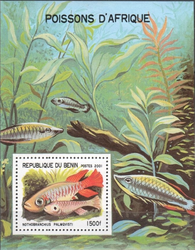 Benin 2001 Fish Souvenir Sheet Benin 2001 Fish Souvenir Sheet