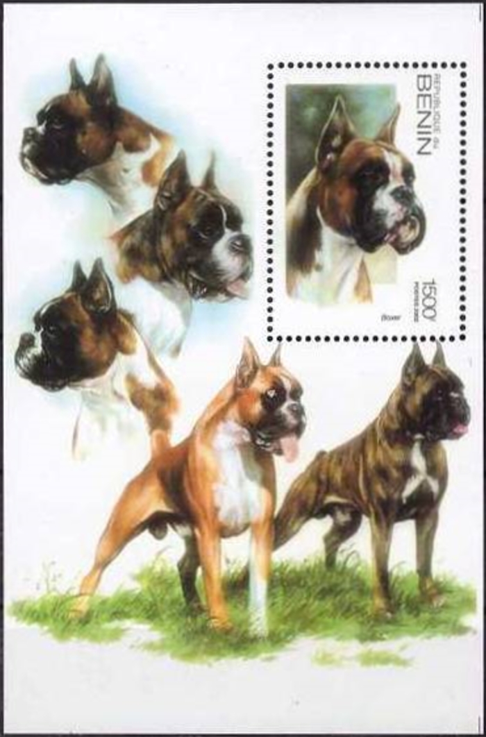 Benin 2002 Dogs Souvenir Sheet Benin 2002 Dogs Souvenir Sheet