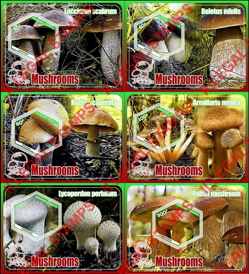 Burkina Faso 2017 Mushrooms Illegal Stamp Souvenir Sheets of 1 Burkina Faso 2017 Mushrooms Illegal Stamp Souvenir Sheets of 1