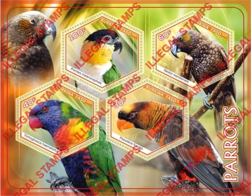 Burkina Faso 2020 Parrots Illegal Stamp Souvenir Sheet of 4 Burkina Faso 2020 Parrots Illegal Stamp Souvenir Sheet of 4