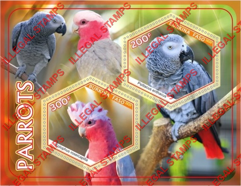 Burkina Faso 2020 Parrots Illegal Stamp Souvenir Sheet of 2 Burkina Faso 2020 Parrots Illegal Stamp Souvenir Sheet of 2