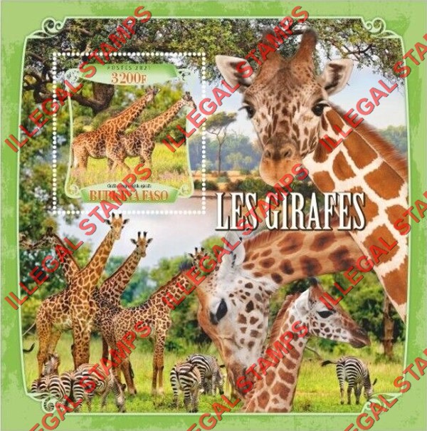 Burkina Faso 2021 Giraffes Illegal Stamp Souvenir Sheet of 1 Burkina Faso 2021 Giraffes Illegal Stamp Souvenir Sheet of 1