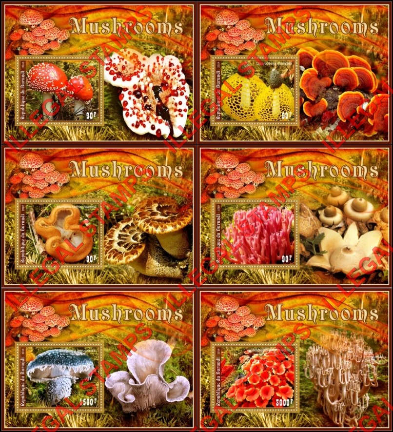 Burundi 2019 Mushrooms Counterfeit Illegal Stamp Souvenir Sheets of 1 Burundi 2019 Mushrooms Counterfeit Illegal Stamp Souvenir Sheets of 1