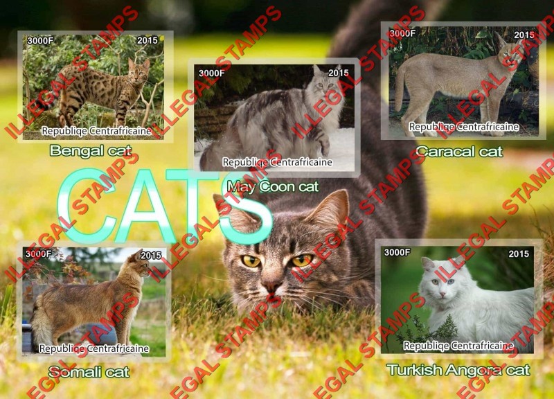 Central African Republic 2015 Cats Illegal Stamp Souvenir Sheet of 5 Central African Republic 2015 Cats Illegal Stamp Souvenir Sheet of 5