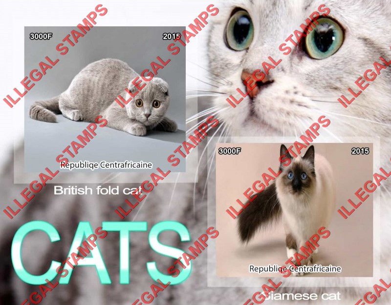 Central African Republic 2015 Cats Illegal Stamp Souvenir Sheet of 2 Central African Republic 2015 Cats Illegal Stamp Souvenir Sheet of 2