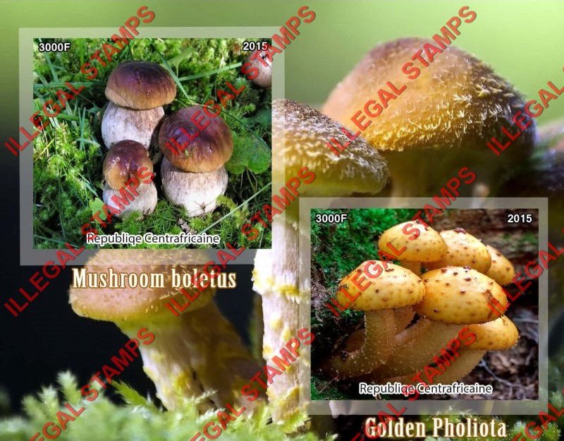 Central African Republic 2015 Mushrooms Illegal Stamp Souvenir Sheet of 2 Central African Republic 2015 Mushrooms Illegal Stamp Souvenir Sheet of 2