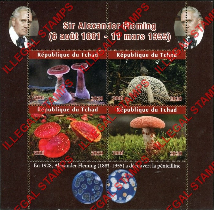 Chad 2020 Mushrooms Sir Alexander Fleming Illegal Stamps in Souvenir Sheet of 4 Chad 2020 Mushrooms Sir Alexander Fleming Illegal Stamps in Souvenir Sheet of 4