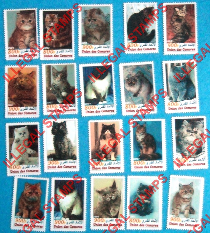 Comoro Islands 2007 Cats Counterfeit Illegal Stamp Set Comoro Islands 2007 Cats Counterfeit Illegal Stamp Set