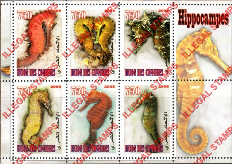 Comoro Islands 2008 Seahorses Counterfeit Illegal Stamp Souvenir Sheet of 6 Comoro Islands 2008 Seahorses Counterfeit Illegal Stamp Souvenir Sheet of 6