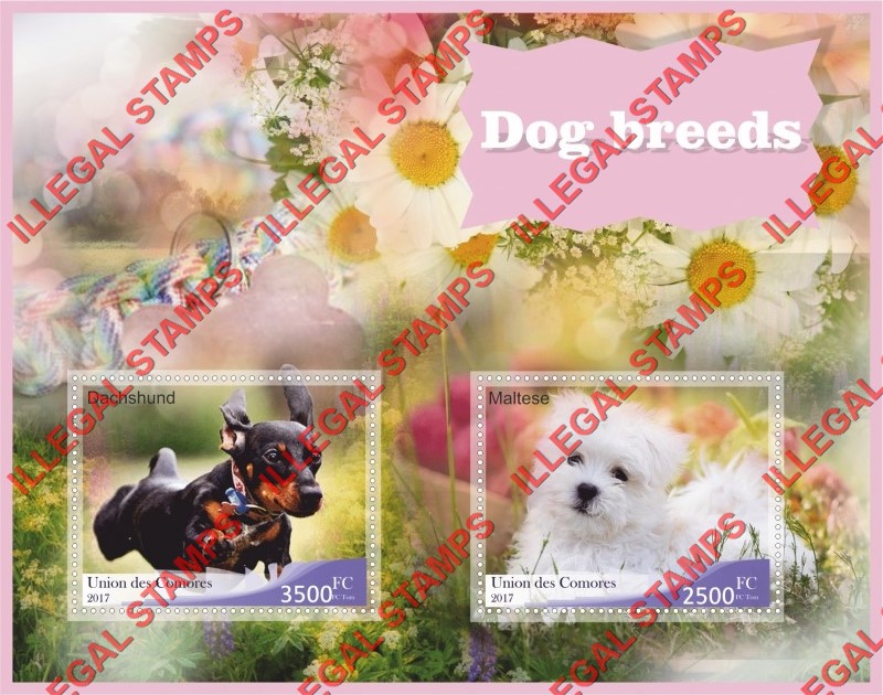 Comoro Islands 2017 Dogs Counterfeit Illegal Stamp Souvenir Sheet of 2 Comoro Islands 2017 Dogs Counterfeit Illegal Stamp Souvenir Sheet of 2