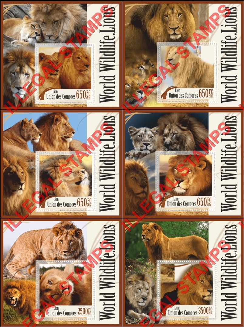 Comoro Islands 2017 Lions World Wildlife Counterfeit Illegal Stamp Souvenir Sheets of 1 Comoro Islands 2017 Lions World Wildlife Counterfeit Illegal Stamp Souvenir Sheets of 1