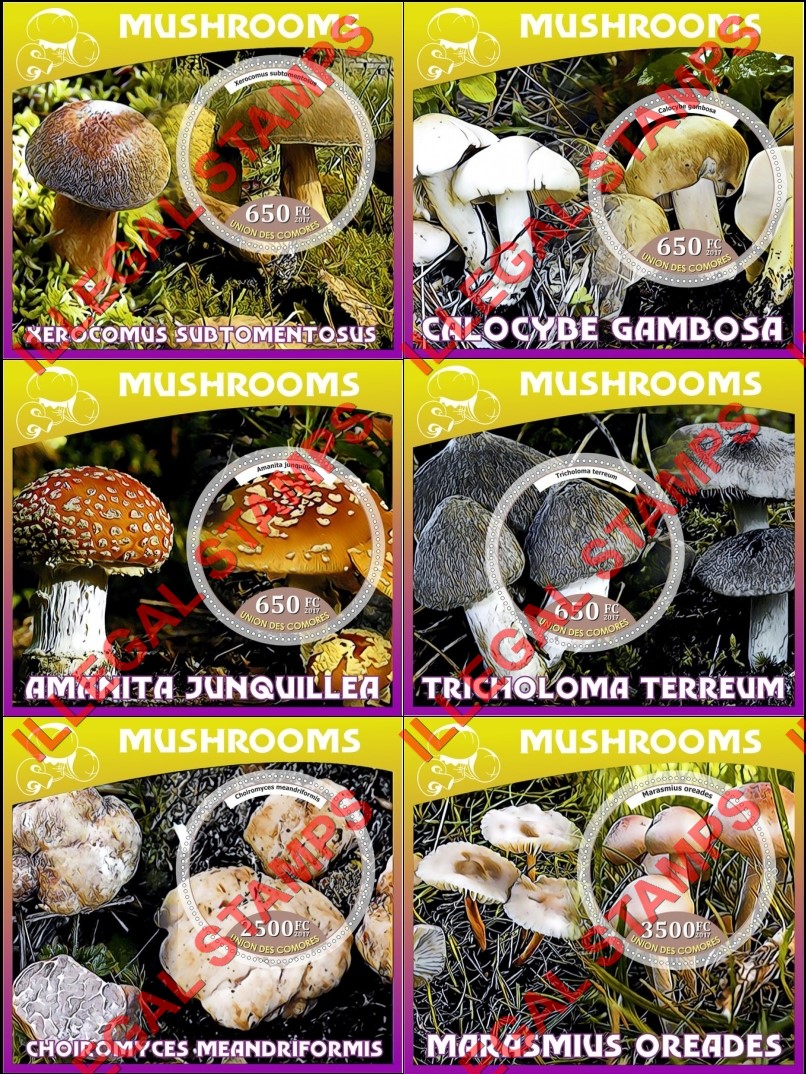 Comoro Islands 2017 Mushrooms Counterfeit Illegal Stamp Souvenir Sheets of 1 Comoro Islands 2017 Mushrooms Counterfeit Illegal Stamp Souvenir Sheets of 1