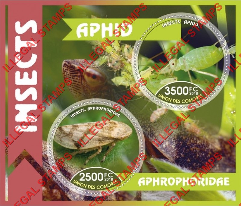 Comoro Islands 2018 Insects Counterfeit Illegal Stamp Souvenir Sheet of 2 Comoro Islands 2018 Insects Counterfeit Illegal Stamp Souvenir Sheet of 2