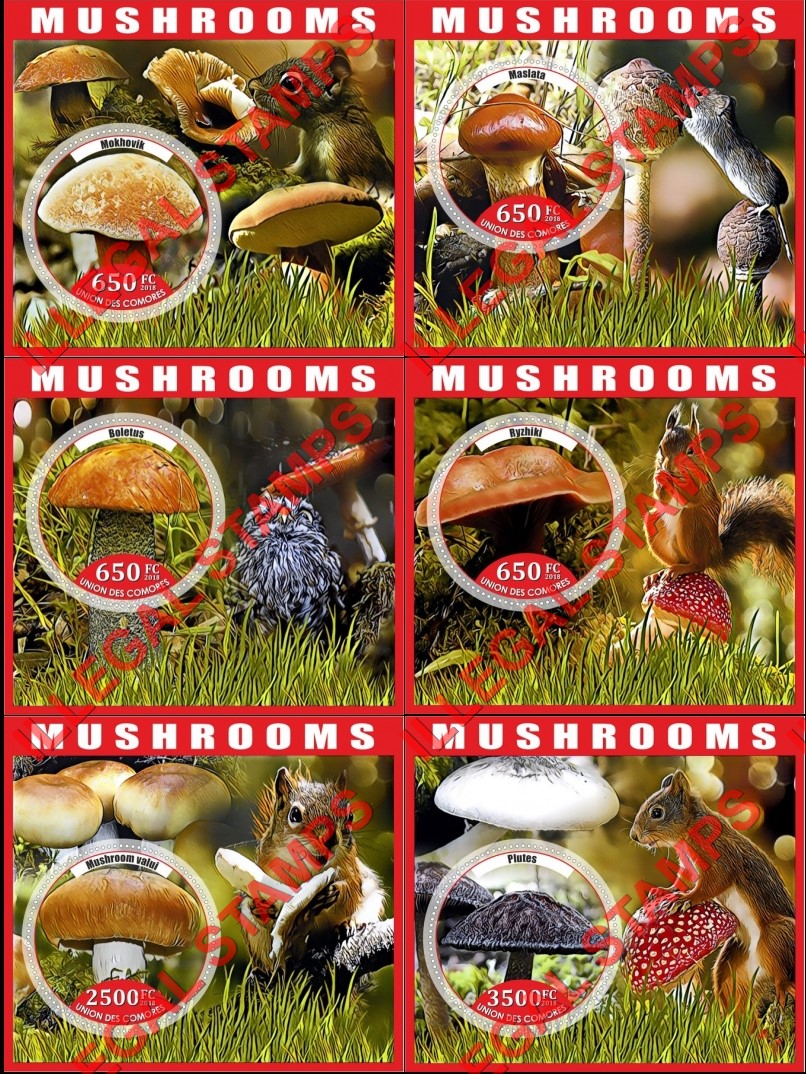 Comoro Islands 2018 Mushrooms (different a) Counterfeit Illegal Stamp Souvenir Sheets of 1 Comoro Islands 2018 Mushrooms (different a) Counterfeit Illegal Stamp Souvenir Sheets of 1