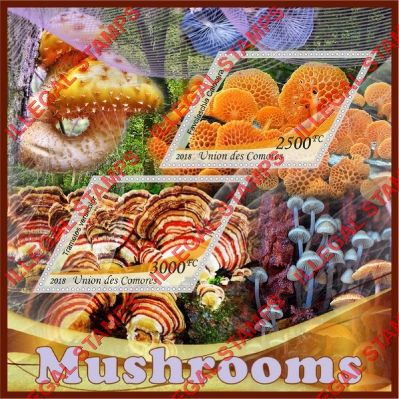 Comoro Islands 2018 Mushrooms (different b) Counterfeit Illegal Stamp Souvenir Sheet of 2 Comoro Islands 2018 Mushrooms (different b) Counterfeit Illegal Stamp Souvenir Sheet of 2
