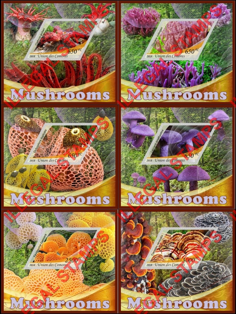 Comoro Islands 2018 Mushrooms (different b) Counterfeit Illegal Stamp Souvenir Sheets of 1 Comoro Islands 2018 Mushrooms (different b) Counterfeit Illegal Stamp Souvenir Sheets of 1
