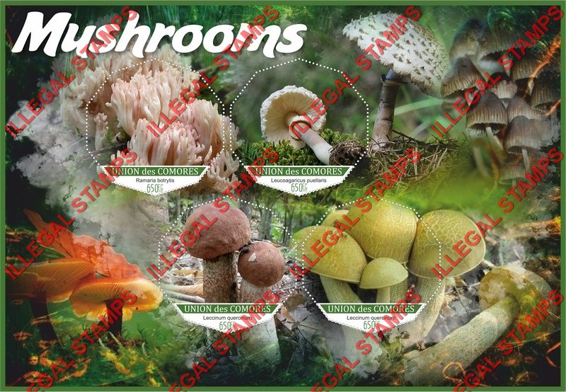 Comoro Islands 2018 Mushrooms (different) Counterfeit Illegal Stamp Souvenir Sheet of 4 Comoro Islands 2018 Mushrooms (different) Counterfeit Illegal Stamp Souvenir Sheet of 4