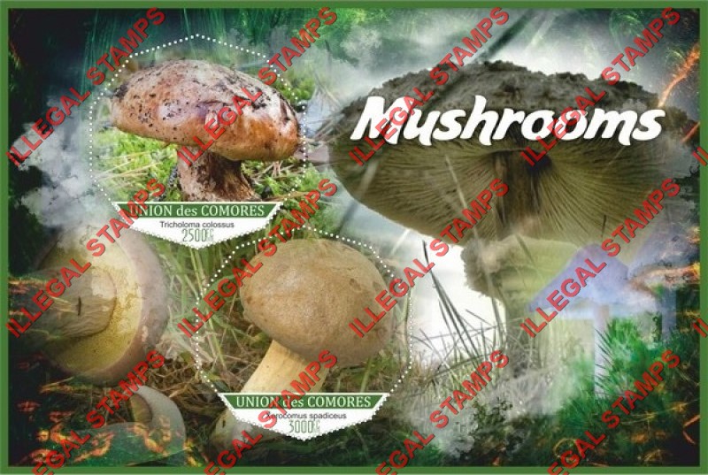 Comoro Islands 2018 Mushrooms (different) Counterfeit Illegal Stamp Souvenir Sheet of 2 Comoro Islands 2018 Mushrooms (different) Counterfeit Illegal Stamp Souvenir Sheet of 2