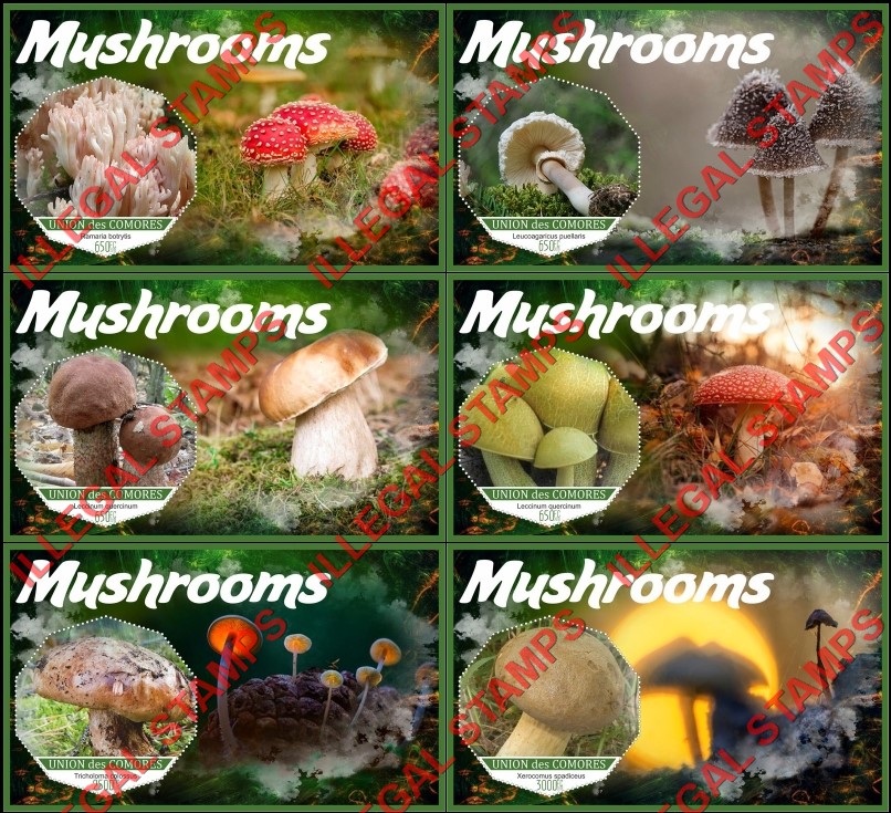 Comoro Islands 2018 Mushrooms (different) Counterfeit Illegal Stamp Souvenir Sheets of 1 Comoro Islands 2018 Mushrooms (different) Counterfeit Illegal Stamp Souvenir Sheets of 1