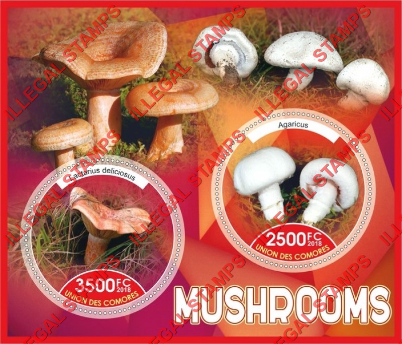 Comoro Islands 2018 Mushrooms Counterfeit Illegal Stamp Souvenir Sheet of 2 Comoro Islands 2018 Mushrooms Counterfeit Illegal Stamp Souvenir Sheet of 2